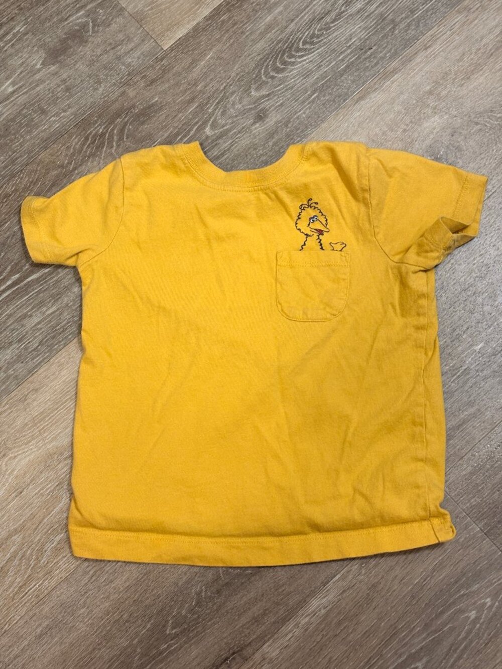 Hanna Andersson Big Bird Tee 3T 90